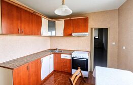 Casă individuală, 137 mp, teren 786 mp, zona Dambul Rotund