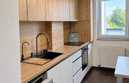 Apartament 2 camere, terasa 28 mp cu vedere la lac, parcare, zona Iulius Mall