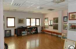 Inchirere spatiu birou, 125 mp, ultrafinisat, zona magazinului Central