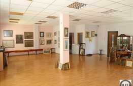 Inchirere spatiu birou, 125 mp, ultrafinisat, zona magazinului Central