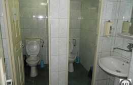 Spatiu de birouri, 330 mp, D+P+M, cu 60 mp curte interioara