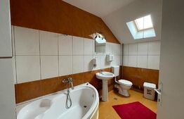 Casa pentru birouri, 160 mp, 6 parcari, Buna Ziua