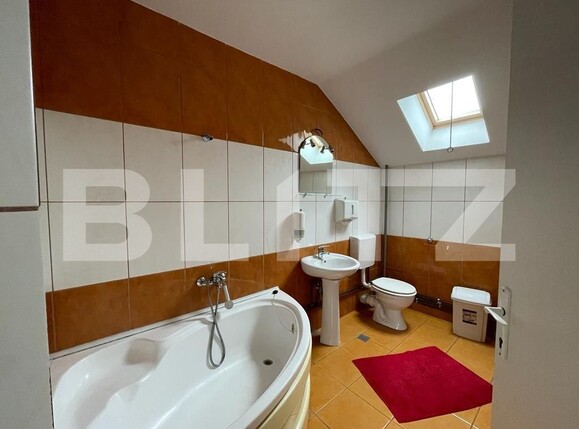 Spațiu birouri de închiriat Bună Ziua - 21064SIB | BLITZ Cluj-Napoca | Poza12