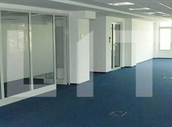 Spațiu birouri de închiriat Dambul Rotund - 21067SIB | BLITZ Cluj-Napoca | Poza5