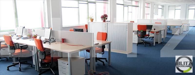 Spațiu birouri de închiriat Dambul Rotund - 21067SIB | BLITZ Cluj-Napoca | Poza6