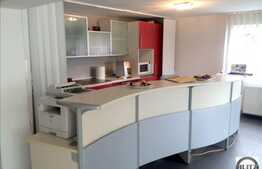 Inchiriere casa pentru birouri 410 mp, D+P+E+M, zona linistita! Complet mobilat!