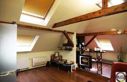 Casa eleganta pentru birouri, 390 mp utili, garaj!