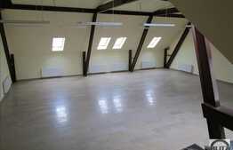 Spatiu ultracentral, 200 mp, open-space, potrivit pentru activitati colective!