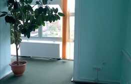 Inchiriere casa pe 3 nivele, 350 mp cu 200 mp curte pentru sediu firma, birouri