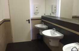 Spatiu pentru birouri, 276 mp utili, zona Grigorescu!