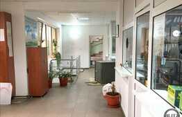 Imobil de inchiriat 420 mp utili, cu destinatie birouri sau medical! D+P+E1+E2+M