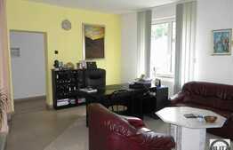 500 mp utili in zona cu vad maxim in centrul orasului!