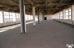 Suprafete Mari De Birouri, in cladire RECENT RENOVATA ! Pret intre 5-8 euro mp!