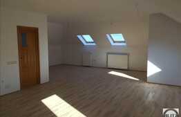 Birouri in vila la Mansarda, 140 mp, zona UMF, Louis Pasteur