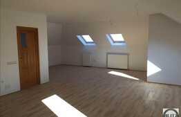 Birouri in vila la Mansarda, 140 mp, zona UMF, Louis Pasteur