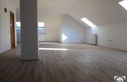 Birouri in vila la Mansarda, 140 mp, zona UMF, Louis Pasteur