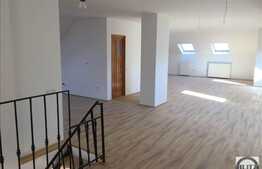 Birouri in vila la Mansarda, 140 mp, zona UMF, Louis Pasteur