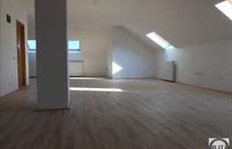 Birouri in vila la Mansarda, 140 mp, zona UMF, Louis Pasteur