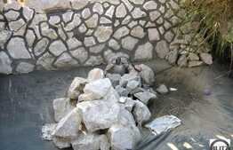 Inchiriere spatiu 8 incaperi in casa, 300 mp plus 500 mp curte, zona Barc