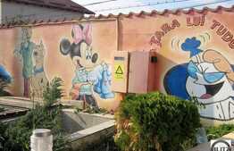 Inchiriere spatiu 8 incaperi in casa, 300 mp plus 500 mp curte, zona Barc