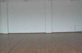 300 mp ultarfinisat in zona Dambul Rotund!