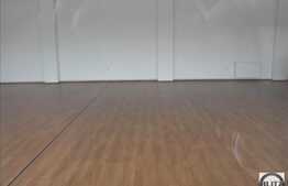 300 mp ultarfinisat in zona Dambul Rotund!