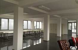 Spatiu de inchiriat, 220 mp, situat in cladire de birouri, zona Traian Vuia!