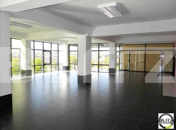 Spațiu birouri de închiriat Zorilor - 21196SIB | BLITZ Cluj-Napoca | Poza2