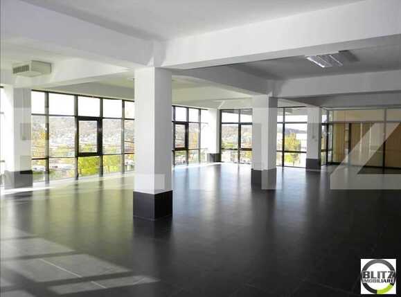 Spațiu birouri de închiriat Zorilor - 21196SIB | BLITZ Cluj-Napoca | Poza3