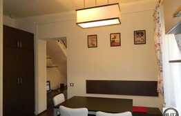 Se ofera spre inchiriere casa individuala cocheta si practica!