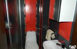 Se ofera spre inchiriere casa individuala cocheta si practica!