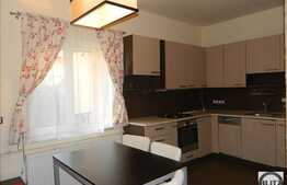 Se ofera spre inchiriere casa individuala cocheta si practica!