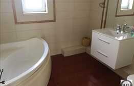 Casa spatioasa, ultrafinisata, zona Andrei Muresanu