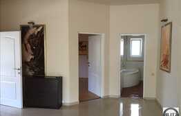 Casa spatioasa, ultrafinisata, zona Andrei Muresanu