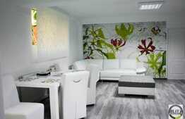 Spatiu pentru birou, 90 mp utili, imobil de tip casa, zona Piata Engels