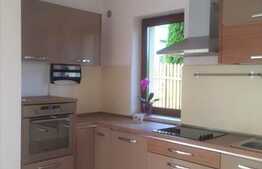 Casa individuala, 150 mp, zona linistita, pretabila firma IT