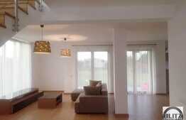 Casa individuala, 150 mp, zona linistita, pretabila firma IT
