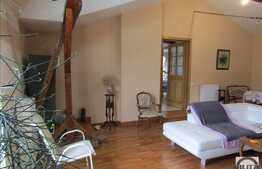 Casa interbelica, 270 mp utili, zona linistita de case!