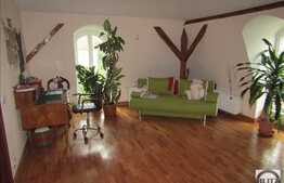 Casa interbelica, 270 mp utili, zona linistita de case!