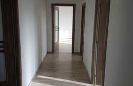 Spatiu birouri, 238 mp, zona linistita