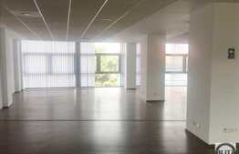 Birouri moderne, open space in centrul orasului!