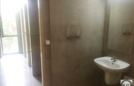 Birouri moderne, open space in centrul orasului!