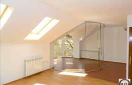 Spatiu 220 mp pe doua nivele, zona Gradinii Botanice