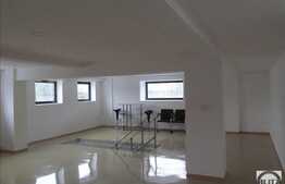 Spatiu cu dispunere pe 2 nivele, 230 mp, zona Tetarom!