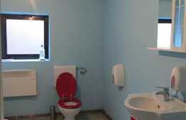 Spatiu cu dispunere pe 2 nivele, 230 mp, zona Tetarom!