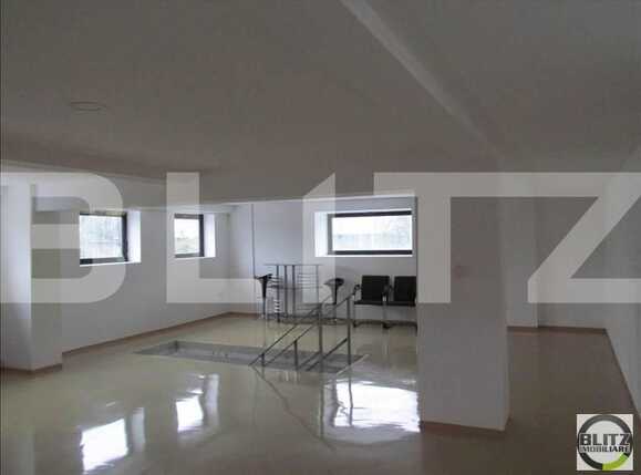 Spațiu birouri de închiriat Dambul Rotund - 21301SIB | BLITZ Cluj-Napoca | Poza1