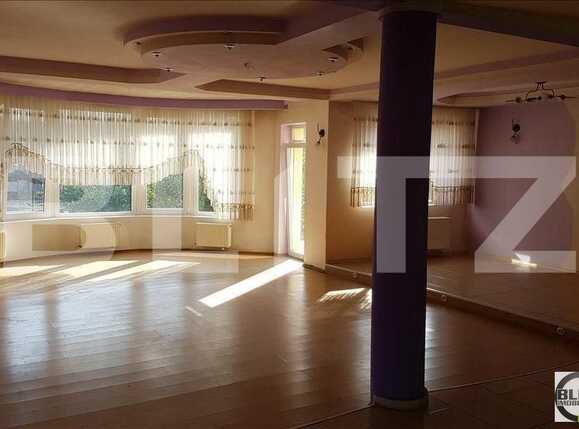 Spațiu birouri de închiriat Dambul Rotund - 21304SIB | BLITZ Cluj-Napoca | Poza1