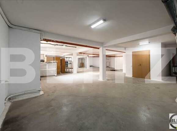 Spațiu birouri de închiriat Dambul Rotund - 21305SIB | BLITZ Cluj-Napoca | Poza8