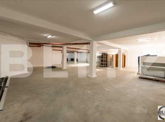Spațiu birouri de închiriat Dambul Rotund - 21305SIB | BLITZ Cluj-Napoca | Poza5