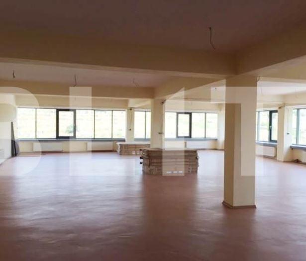 Spațiu birouri de închiriat Iris - 21324SIB | BLITZ Cluj-Napoca | Poza2